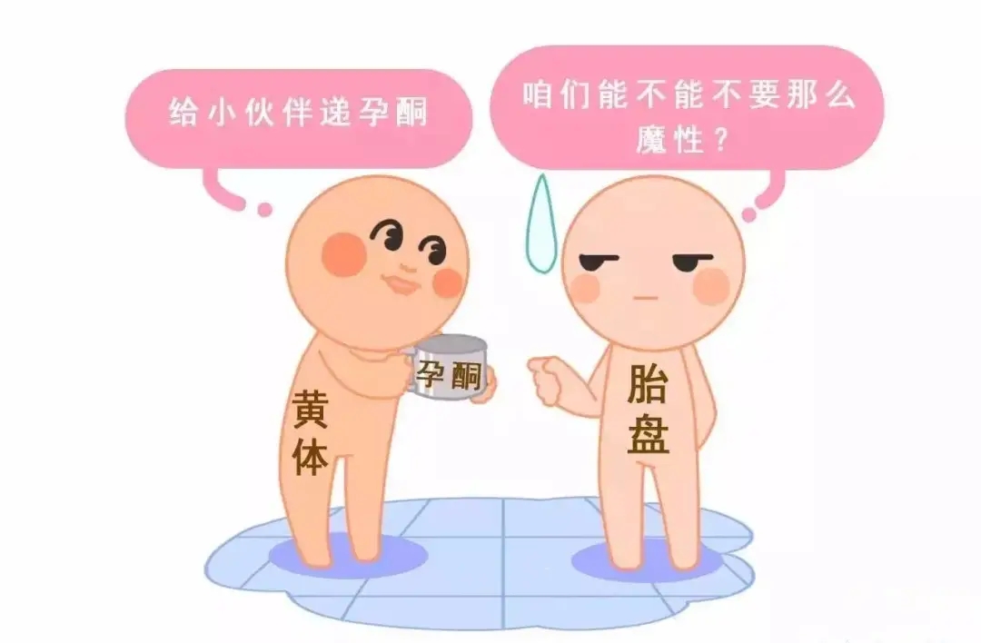 HCG和孕酮低一定會流產(chǎn)？備孕女性必須知道的孕早期“秘密”