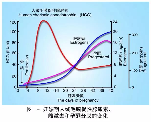 懷孕期間HCG低怎么辦？