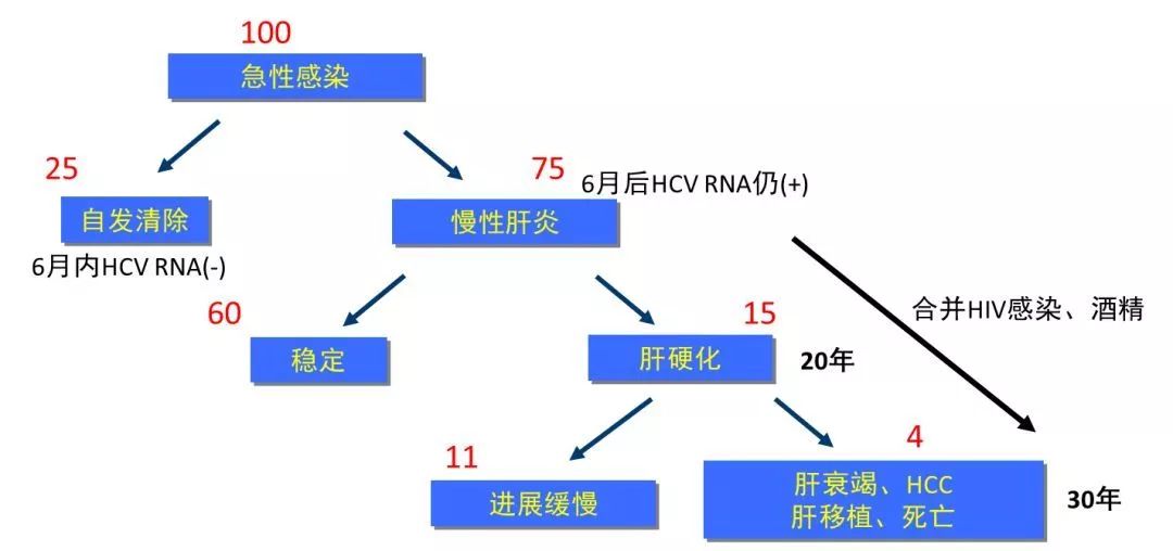 丙肝檢測(cè)的弱陽(yáng)性究竟是不是感染了丙肝？